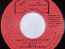 Modern Soul 45 CHOSEN FEW BAND What It Takes To Live BUFFALO'S HEAR VG++/VG+