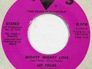 LEE FIELDS Mighty Mighty Love / Wanna Dance ANGLE 3 45 northern soul boogie funk