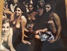 The jimi hendrix experience electric ladyland