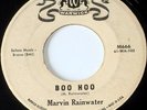 Marvin Rainwater Boo Hoo/I Can't Forget 45 Warwick 1961 Promo Rockabilly