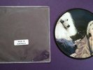 Nirvana vinyl The Jesus Lizard Puss Oh, The Guilt picture EP Import limited