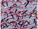 Deftones - Gore