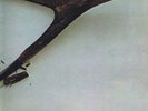 Wishbone Ash – Wishbone Ash – MKPS 2014 – LP Vinyl Record