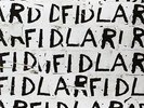 FIDLAR Fidlar LP Vinyl NEW 2012