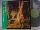 ECHO AND THE BUNNYMEN crocodiles Japan with obi