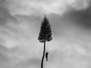 Manchester Orchestra - A Black Mile To The Surface - Sealed Vinyl LP
