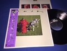 RUSH   SIGNALS   JAPAN OBI   1982 1ST PRESS   INSERT BOOKLET   TOP SHELF   NM/M-