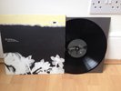 Rare IndieLP Hope Sandoval & Warm Inventions Bavarian Fruit Bread Rough Trade Ex