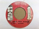 Jah Berry - Chant Down Babylon, Phase One Records, 7in Reggae Vinyl