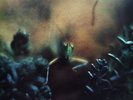 Steely Dan / Katy Lied - LP - Vinyl - neuwertig - MCA Records - 1975 ABC Records
