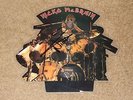 NICKO McBRAIN Iron Maiden *** SIGNED *** shaped picture disc