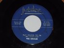 THE ORIOLES-You Belong To Me (1952) Original JUBILEE 45