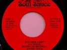 OBSCURE OHIO MODERN SOUL 45 / STEVIE LEE MITCHELL / STYLISTIC LADY / SOUL SAUCE