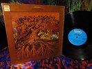 MINT 1970 ORIG ? FEVER TREE ? FOR SALE ?Hard Garage Psych + 12:56 HEY JOE & LOVE