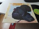 WILD TURKEY TURKEY LP 1972 FOC ( EX JETHRO TULL) 1ST PRESS