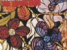 Beach Boys: Wild Honey (50th Anniversary: First Ever Stereo Mix: 180GV) LP