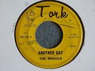 60's GARAGE ROCKER 45 The Moguls Another Day Tark 1095 HEAR MP3