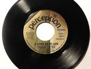 CHAREN COTTEN A Little Bit Of Love 45 rpm Perception PROMO Northern Soul HEAR