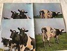 2 LP Pink Floyd: „Atom Heart Mother“.