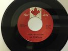 Rare Canadian 45 The Allan Sisters
