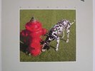 Rush Signals NEAR MINT Anthem Records Vinyl LP