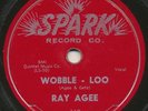 RAY AGEE —Wobble - Loo b/w Another Fool— r&b rocker 78 | Spark 119