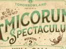 Tomorrowland Ticket