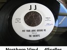 ? SHERRYS 'Put Your Arms Around Me' Wigan OLDIE Northern Soul 45 HEAR