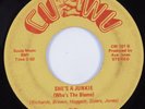 Funk 45 DEEP HEAT She's A Junkie (Who's The Blame) CU-WU HEAR