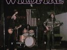 WILDFIRE 