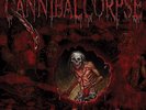 CANNIBAL CORPSE Torture Vinyl LP 2012 (12 Tracks) NEW & SEALED
