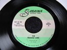 THE FRAGILE LIME   RARE 1969 NW FUZZ PSYCH 45 on SABRINA
