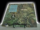 DAVE MASON ALONE TOGETHER AUDIOPHILE MCA RECORDS 180 GRAM EDITION  LP SPECIAL
