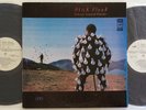 RARE PINK FLOYD 2 LP / 1990 RUSSIAN PRESS MELODYIA  / DELICATE SOUND OF THUNDER