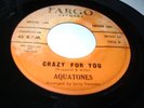 DooWop Rocker 45 THE AQUATONES Crazy For You Wanted FARGO #1016 promo plays nice