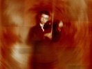 Lambchop-Is A Woman  VINYL NEW