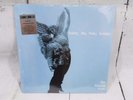 Sunny Day Real Estate The Rising Tide Clear /2500 2LP Vinyl RSD Record Store Day