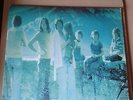 BOARDS OF CANADA - MUSIC HAS THE RIGHT TO CHILDREN, Double LP (1998) Warp Record