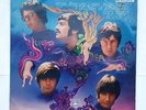 The Turtles ?– Turtles' Golden Hits --  1967 Rarest Aus.Press NM/Mint Vinyl LP