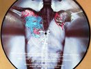 Ozzy Osbourne Down To Earth 2001 Picture Disc