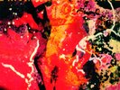 Gabor Szabo  BACCHANAL (180GR. VINYL GATEFOLD SLEEVE)