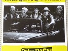 Die Toten Hosen, rotes Vinyl , Roten Rosen ,Punk