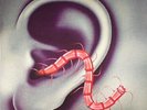 THEE OH SEES - An Odd Entrances - Vinyl (LP + insert + MP3 download code)