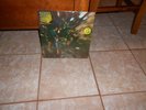 SEALED CREEDENCE CLEARWATER REVIVAL 
