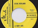STEVE REVLAND 45 RECORD PRIVATE MN LONER FOLK SSW RARE MARK CUSTOM