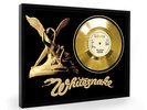 Whitesnake Here I Go Again Framed Gold Disc Record Vinyl (C1)