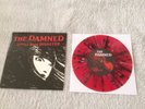 The Damned - Little Miss Disaster  7