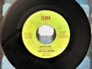 The TULU BABIES Garage Band TEMA Label 45 MINE FOREVER & HURTIN KIND Scratches