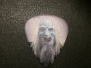 Anthrax Scott Ian Tour Guitar Pick