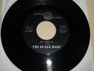 GARAGE PSYCHE 45 RPM RECORD - THE GLASS HARP - UNITED AUDIO 6002